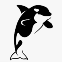 O Blog da Orca